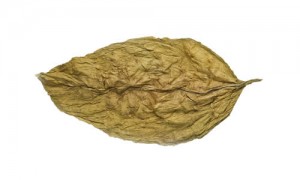 whole leaf tobacco