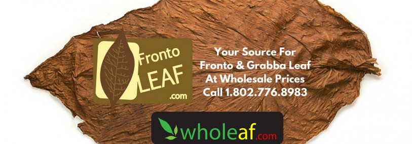 Fronto Leaf Buyer’s Guide
