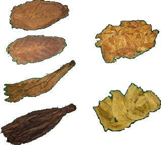 Tobacco Leaf Combos