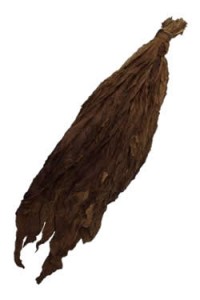 qb52-fronto-dark-2013 qb52-fronto-dark-2013