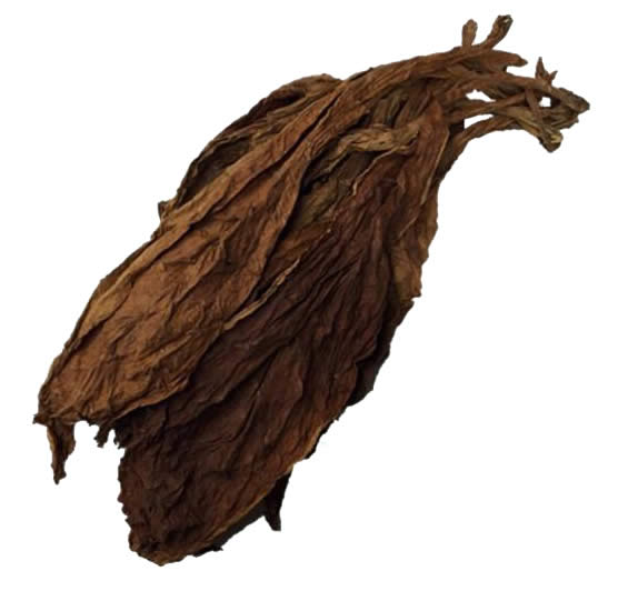 organic burley leaf tobacco