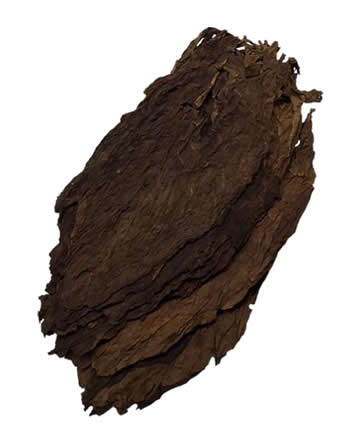 aged honduran ligero cigar filler