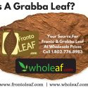 What Is A Grabba Leaf | Grabba Leaf Is A Way To Smoke Fronto Leaf