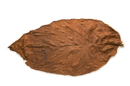 Maduro Broadleaf Maduro Broadleaf