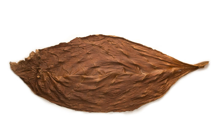 Dark Air Cured Fronto