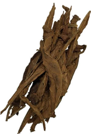 dark-air-cured-fronto-LL