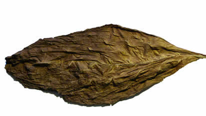 dark air cured fronto leaf