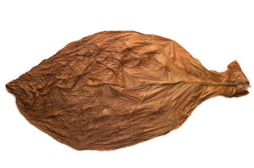 Havana leaf