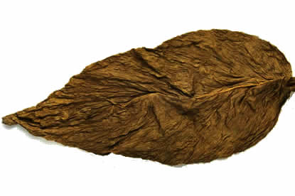 Grabba Leaf QB52 Fronto