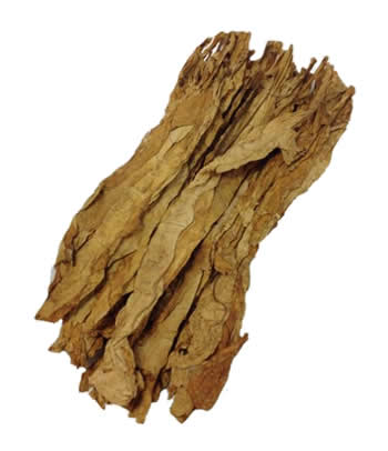 brightleaf tobacco