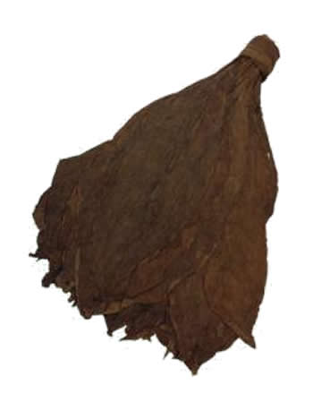 cameroon leaf