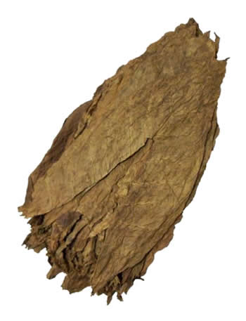 dominican tobacco