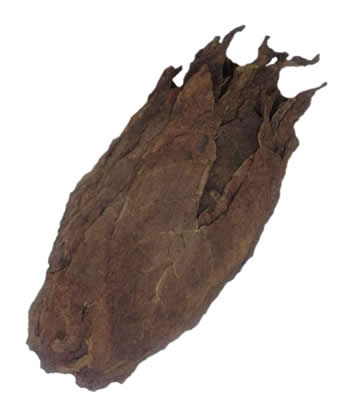 honduran tobacco