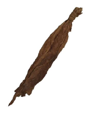 Aged Pennsylvania Wrapper 2001 | Wholeaf.com