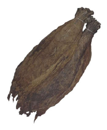 colombian binder tobacco leaf