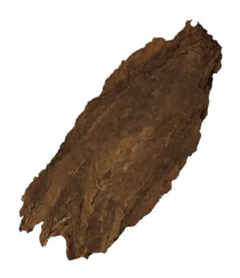 aged pennsylvania cigar filler