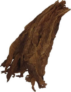 Aged Dark Air Cured Fronto Leaf