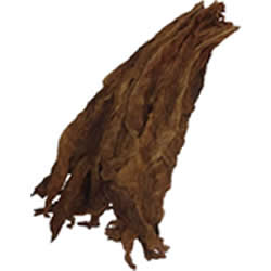 Fronto Leaf