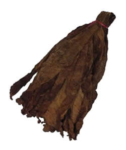 Nicaraguan Binder Tobacco