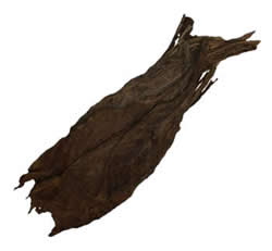 Aged Cameroon Seco Tobacco | Long Filler