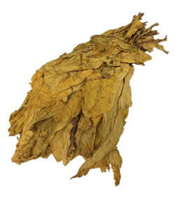 Hydrostone for Tobacco Leaf