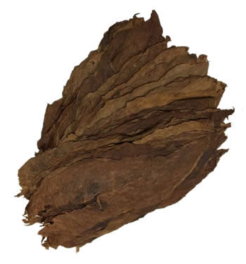 Brazilian-Cubra-Seco-Cigar-Filler-Leaf