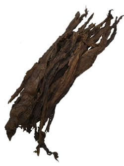 Dark Fronto Leaf Scraps