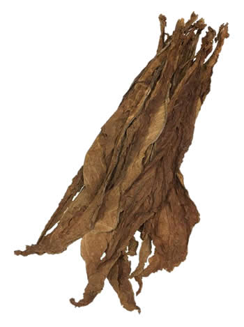 dark-air-cured-fronto-alo-leaf