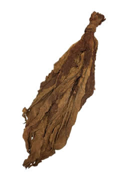 Dark Air Cured Fronto Leaf [H]