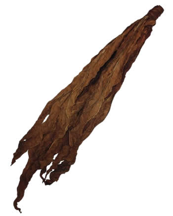 dark-air-cured-fronto-leaf-o