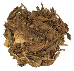 Samsun Turkish Oriental Tobacco Leaf