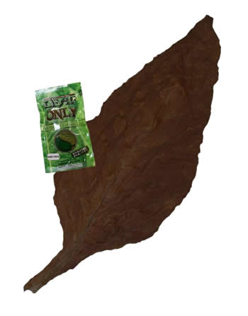 Dark / Thick Fronto Single Packs