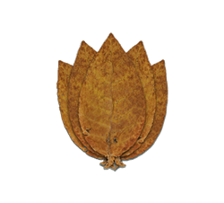 Greek Oriental Basma Tobacco Leaf