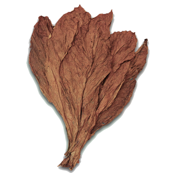 Organic Pennsylvania Broadleaf